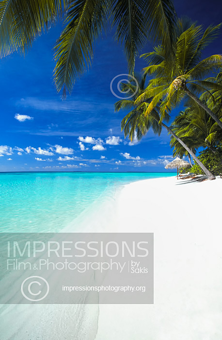 tropical beach with palm trees and blue lagoon, maldives stock photo